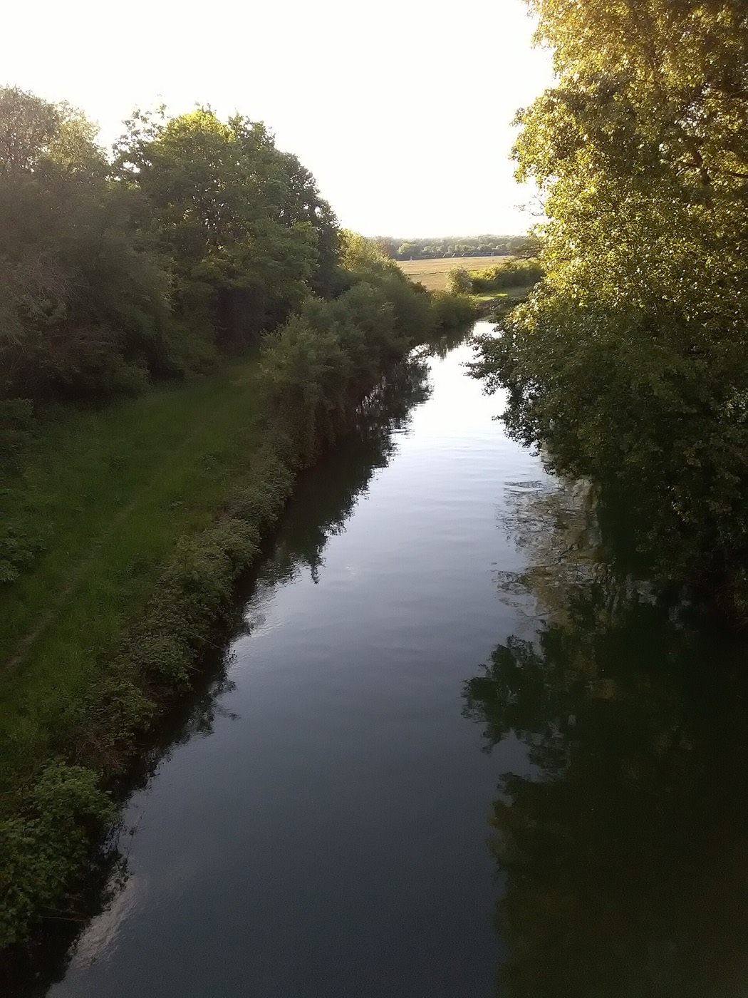 Le canal de Huningue et ses berges verdoyantes